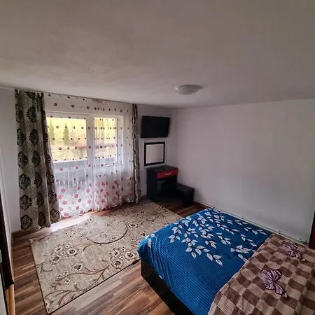 Casa Emiral Holiday home Voronet